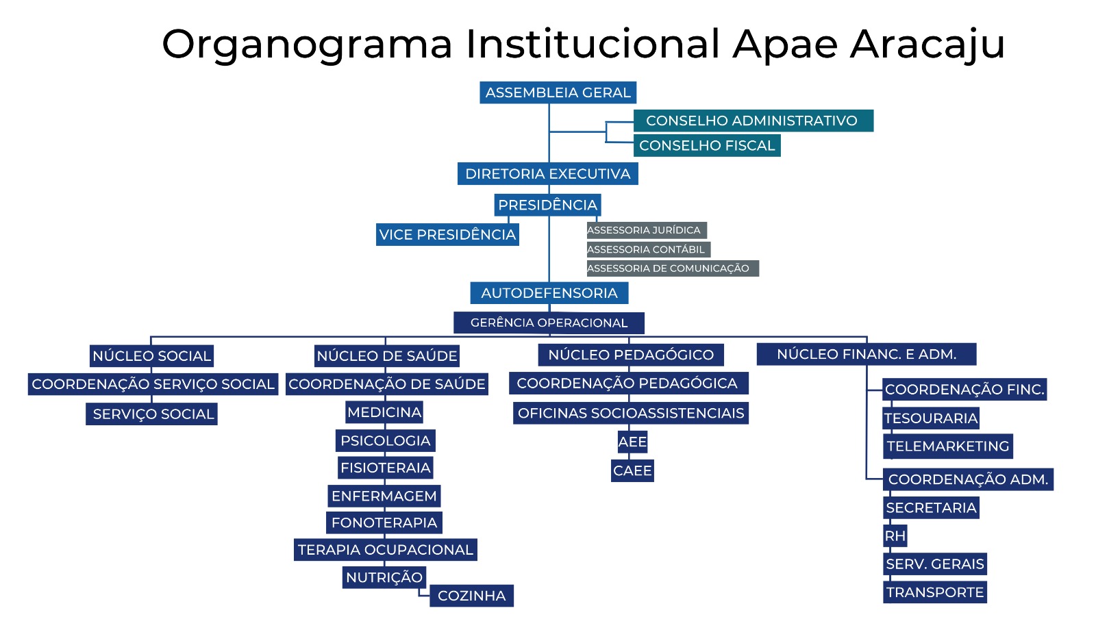 organograma